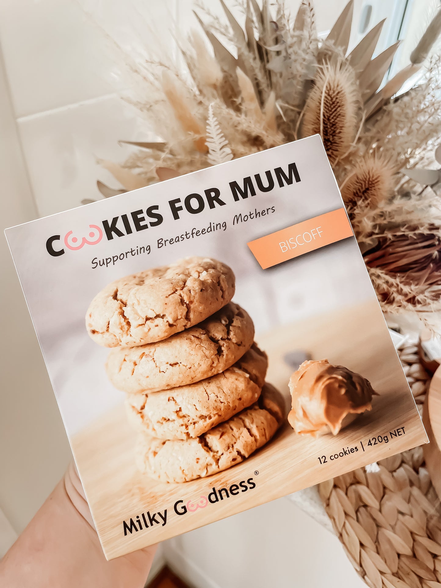 Biscoff Lactation Cookies (Dairy Free)