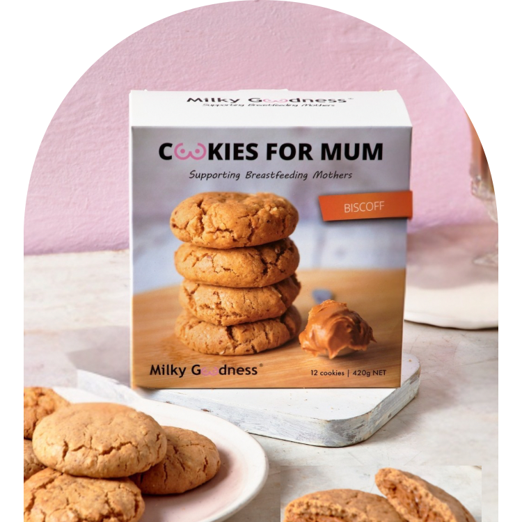 Biscoff Lactation Cookies (Dairy Free)