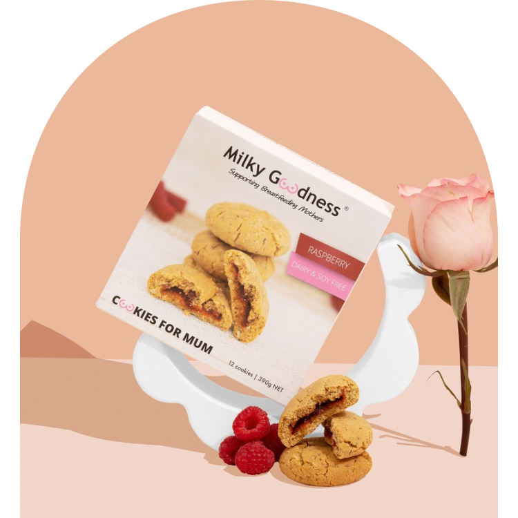 Raspberry Lactation Cookies (Dairy and Soy Free)