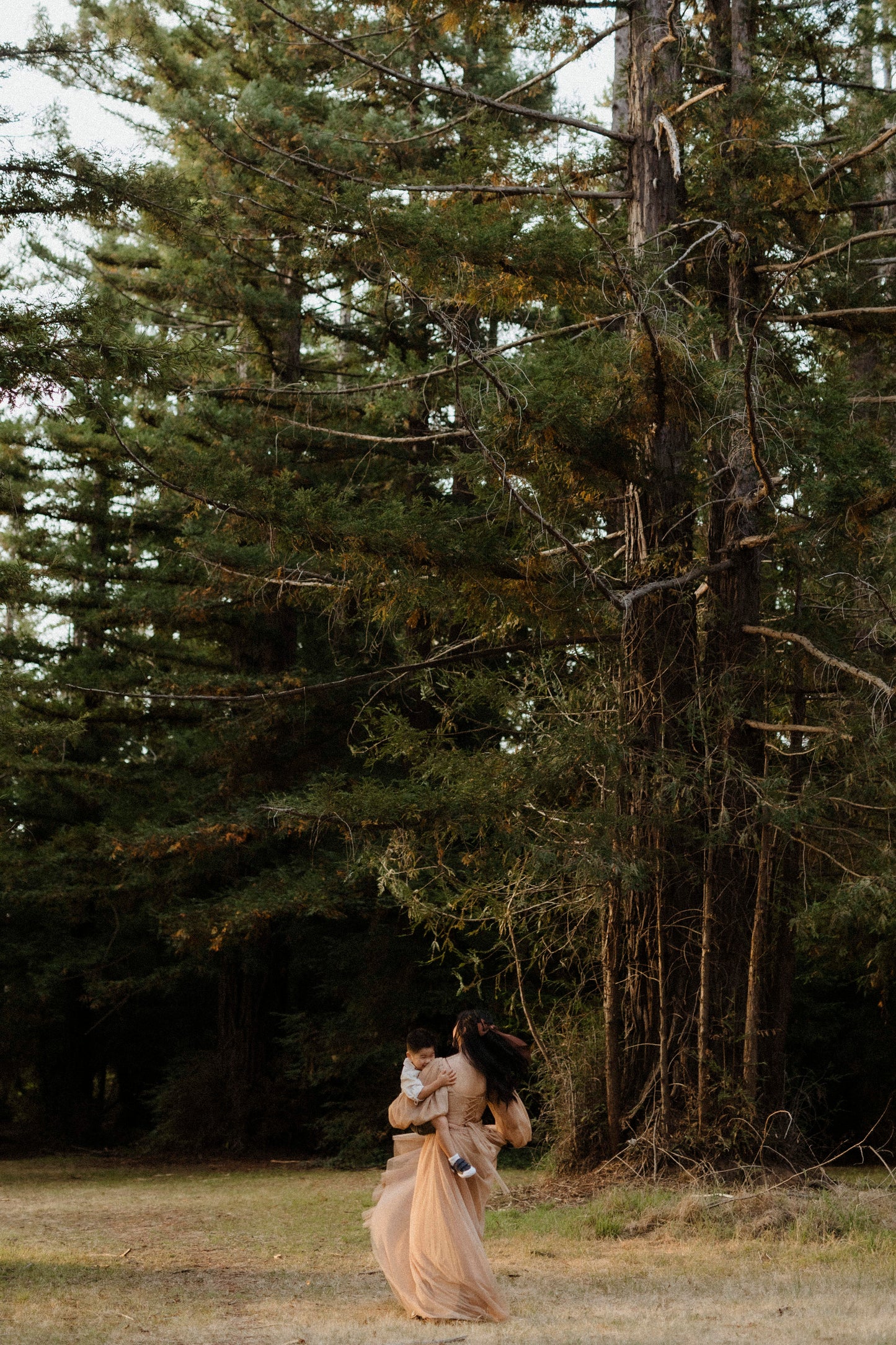Sonoma - Reclamation - Gown